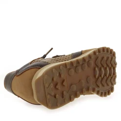 Cetti