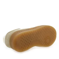 Gola