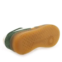 Gola