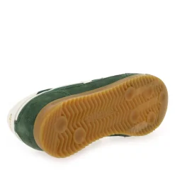 Gola