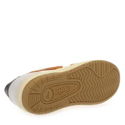 Gola