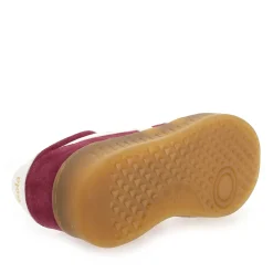 Gola