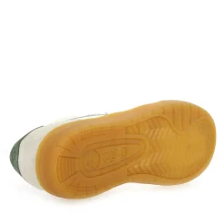 Gola