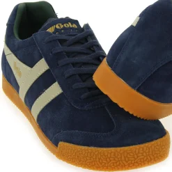 Gola