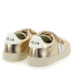 Veja