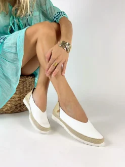 Verbenas