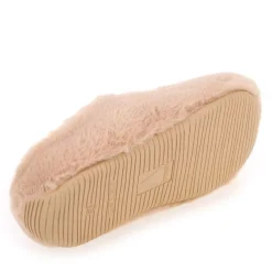 Verbenas
